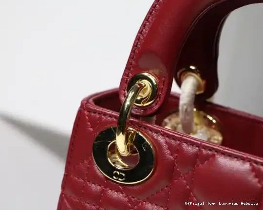 Tony Luxuries Mini With Lambskin Lady diro 0427